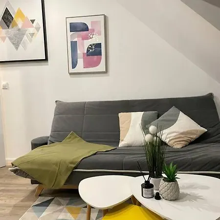 Apartman - 1 - Proche Zenith & Centre